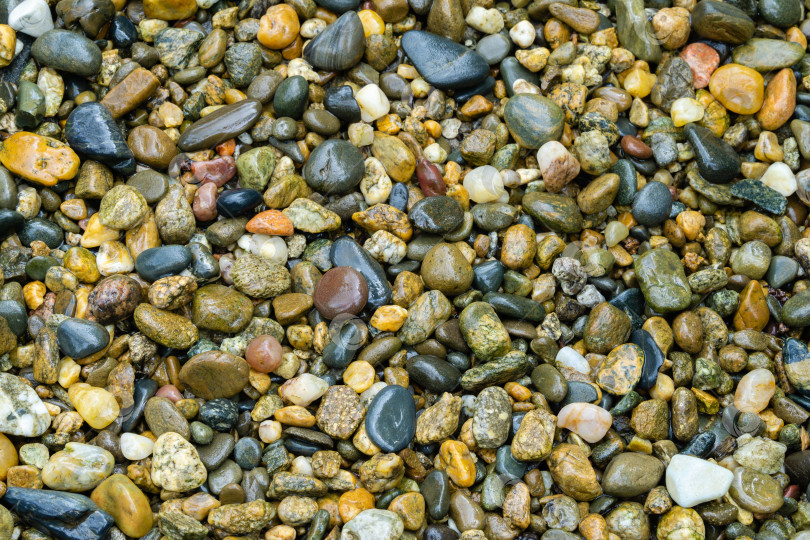 Скачать Влажная морская галька в качестве природного фона. Красивые морские камни разных размеров, цветов и текстуры. Отличная природная концепция для любого дизайна фотосток Ozero