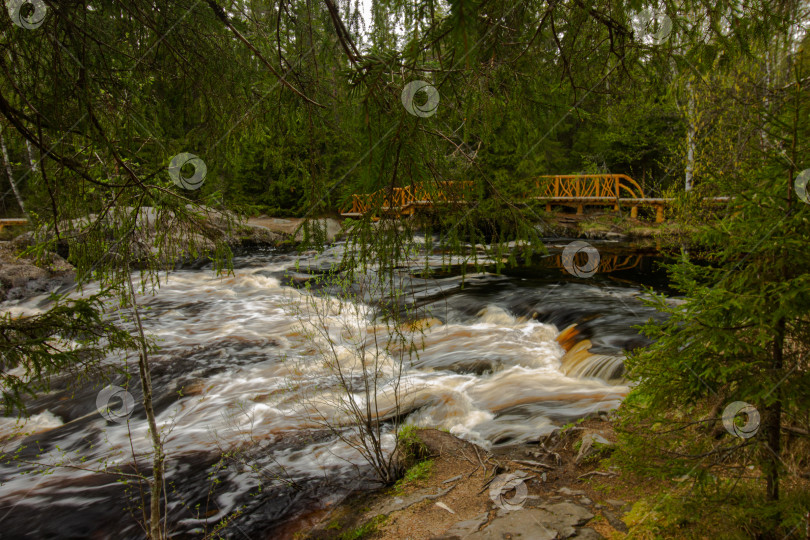 Скачать Пороги реки Тохмайоки в Рускеале, Карелия 2021 год фотосток Ozero