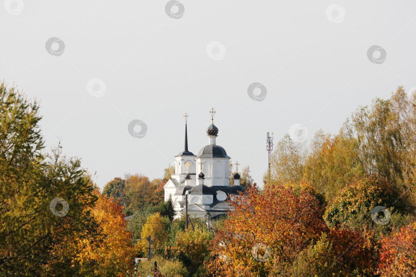 Скачать Вид на церковь Димитрия Солунского в Рузе на фоне осенних деревьев, 2020 год фотосток Ozero