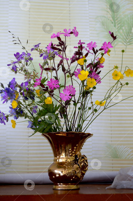Скачать Букет из дачных цветов в золотистой вазе фотосток Ozero