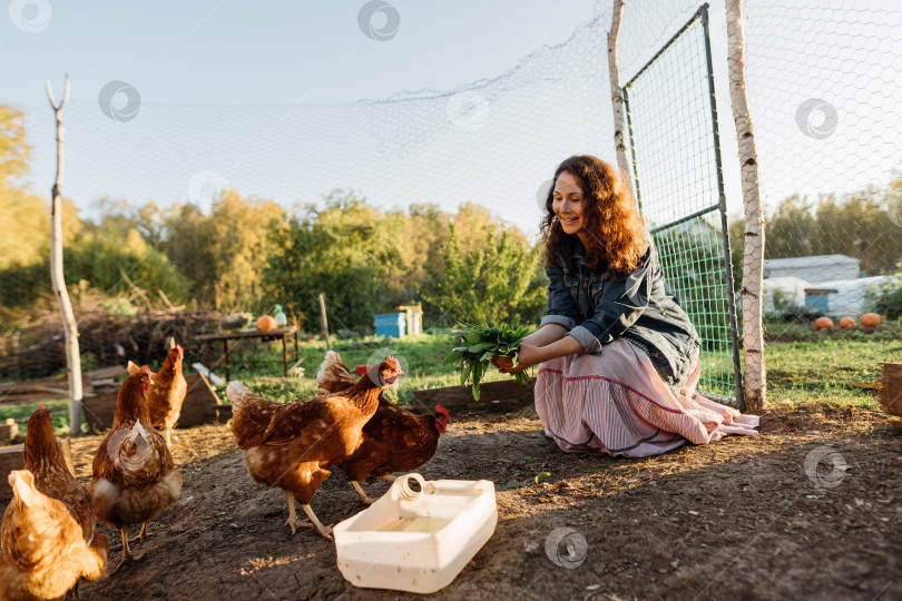 Скачать Счастливая женщина средних лет на частной ферме кормит цыплят фотосток Ozero