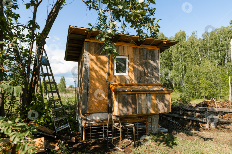 Скачать Деревенский деревянный курятник, расположенный в окружении пышной зелени фермы. фотосток Ozero