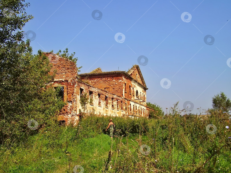 Скачать Конный завод в Старожилово фотосток Ozero