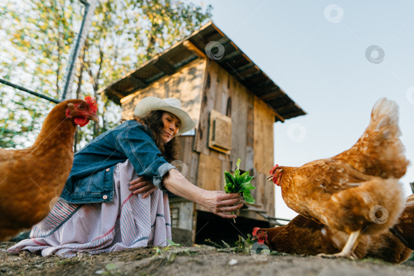 Скачать Счастливая женщина средних лет на частной ферме кормит цыплят фотосток Ozero