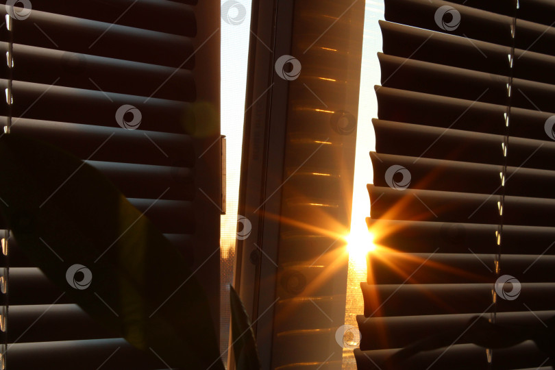Скачать Лучи солнца пробиваются сквозь жалюзи фотосток Ozero