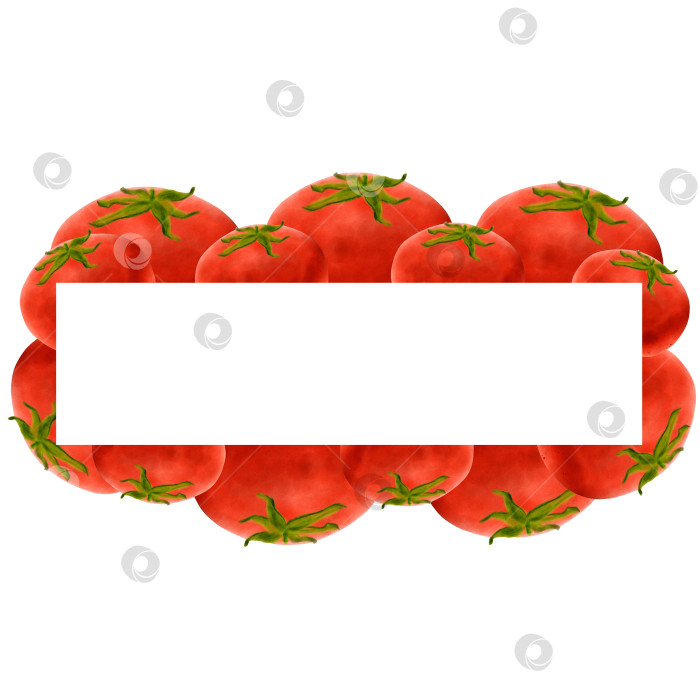 Скачать Акварельные овощи в рамке. Овощной баннер с помидорами. Спелые помидоры, нарисованные от руки для дизайна здорового питания, этикетки кетчупа, дизайн упаковки фотосток Ozero