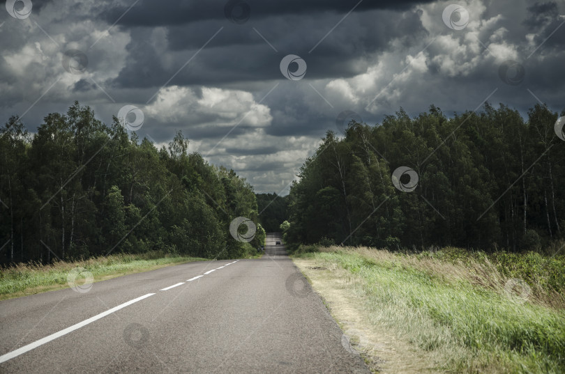 Скачать Асфальтированная дорога в лесу с темными облаками на небе. фотосток Ozero