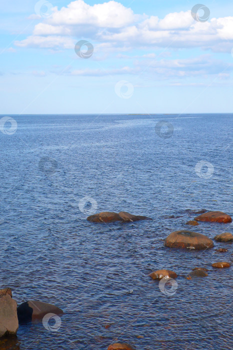 Скачать Белое море летом -лёгкий бриз фотосток Ozero