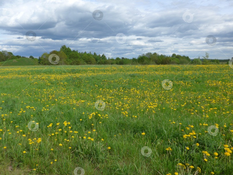 Скачать По дороге в Михайловское фотосток Ozero