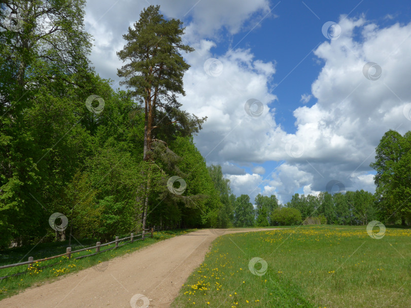 Скачать По дороге в Михайловское фотосток Ozero