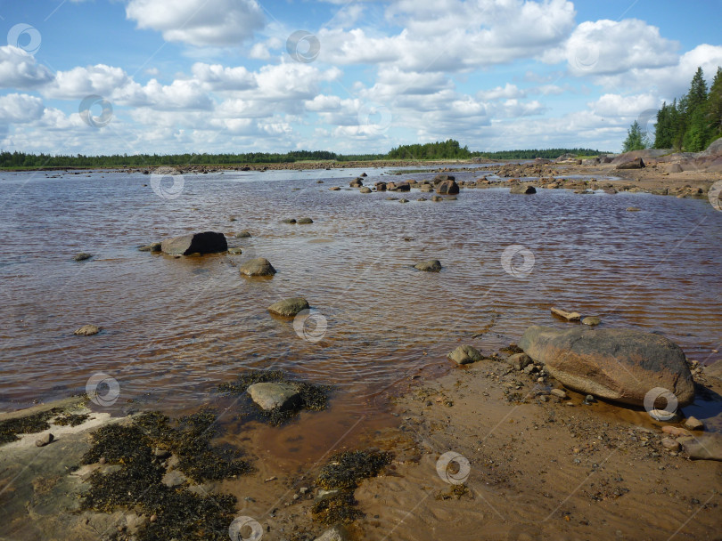 Скачать Белое море наступает фотосток Ozero