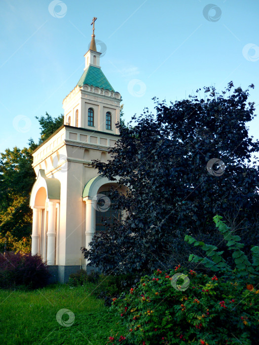 Скачать Церковь среди зелени фотосток Ozero