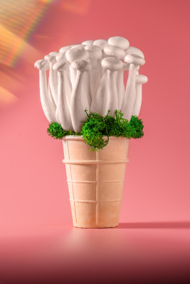 [object Object] undefined