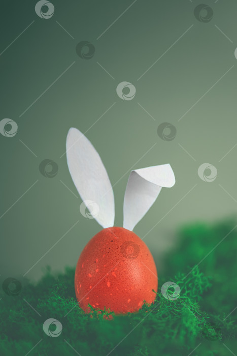 Скачать пасхальное коричневое яйцо с белыми кроличьими ушками среди зеленого мха. креативная минималистичная пасхальная фотография с пространством для копирования фотосток Ozero
