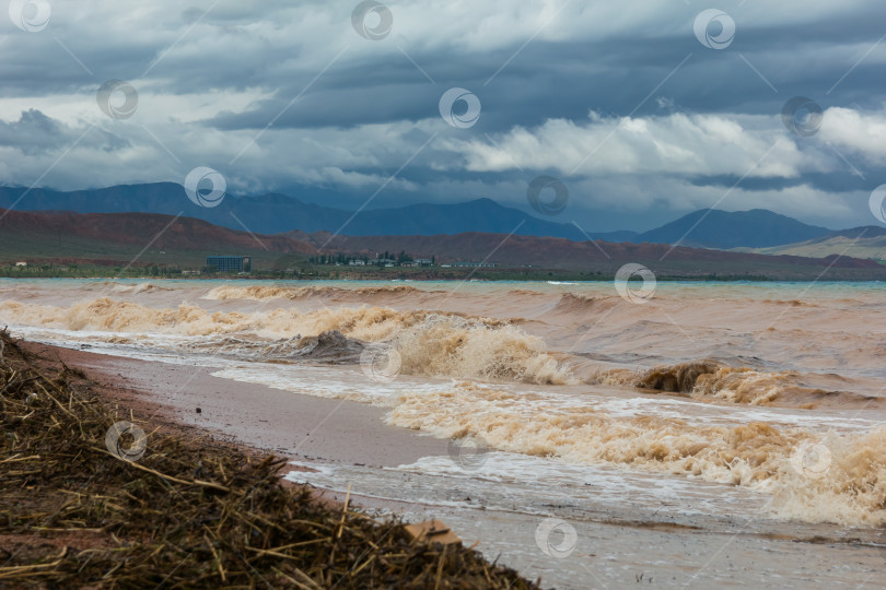 Скачать Штормовые волны на озере Иссык-Куль, грязная, но красивая вода. фотосток Ozero