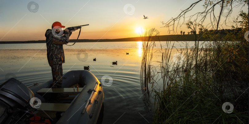 Скачать охотник на водоплавающую птицу стреляет в летящую утку во время охоты на уток на восходе или закате солнца. фотосток Ozero