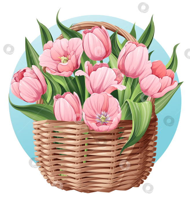 Скачать Плетеная корзина с розовыми тюльпанами на изолированном фоне. Подходит для Пасхи, женского дня. Векторная весенняя иллюстрация. Подарок для мамы. фотосток Ozero