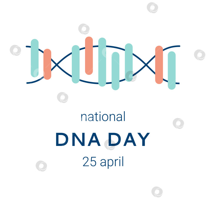 Скачать Национальный день ДНК отмечается 25 апреля. Плакат, баннер с изображением двойной спирали ДНК и текстом. Плоская векторная иллюстрация фотосток Ozero