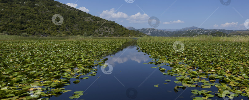 Скачать Скадарское озеро, Черногория. фотосток Ozero