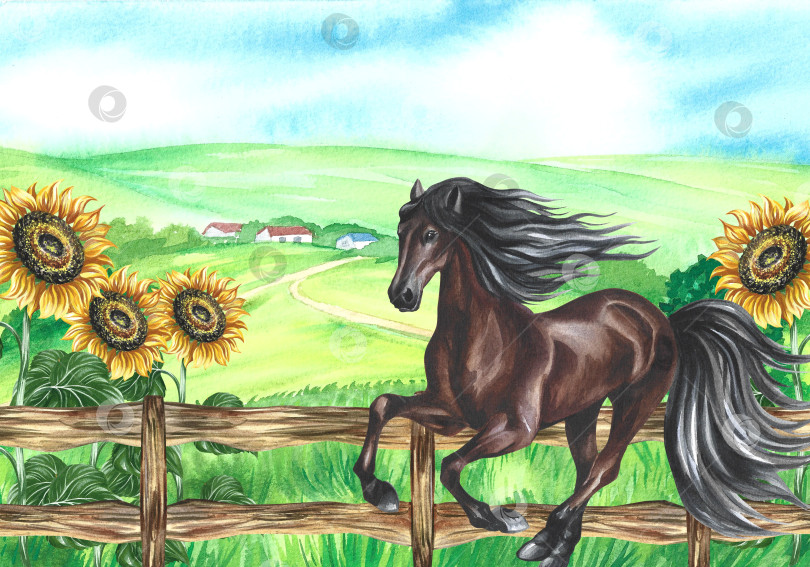 Скачать Скачущая лошадь на фоне сельского пейзажа с деревянным забором и подсолнухами. Рисованная акварельная иллюстрация. Баннер в деревенском стиле. Для печати, упаковки, открыток, украшений. фотосток Ozero