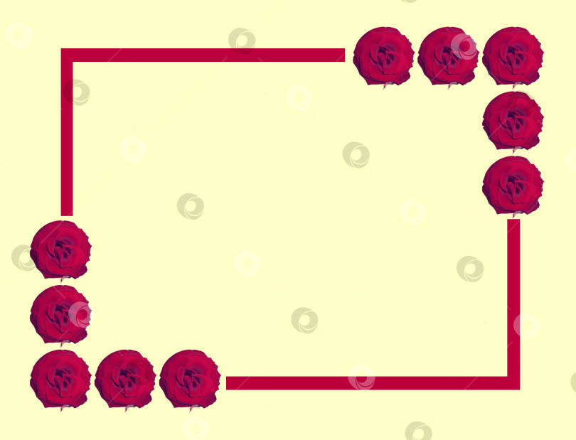 Скачать Цветочный фон, открытка, основа, рамка с бутонами ярко-малиновых роз на светлом фоне. фотосток Ozero