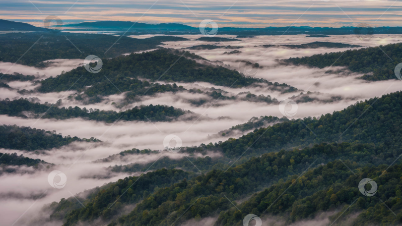 Скачать Склоны гор, покрытых лесом, в тумане фотосток Ozero