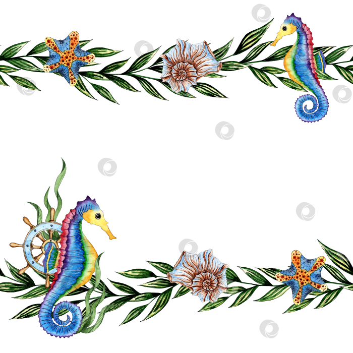 Скачать Водоросли обрамляют раковины морских коньков и морских звезд акварелью фотосток Ozero