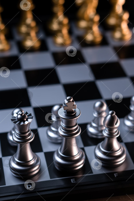 Скачать Серебряные шахматные фигуры на клетчатой доске, портретный вид фотосток Ozero