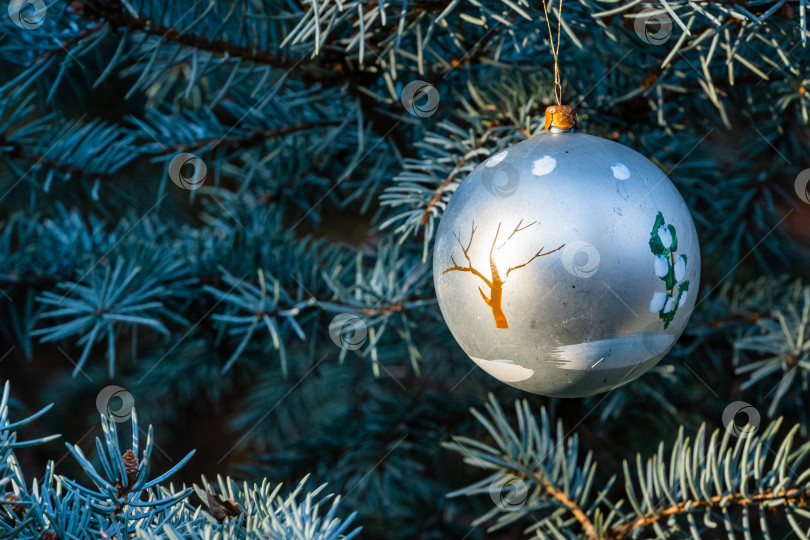 Скачать Рождественская игрушка, белый шар на размытом фоне ветвей рождественской елки. Крупный план. Настоящая зима в саду. Выборочный фокус. Есть место для вашего текста фотосток Ozero