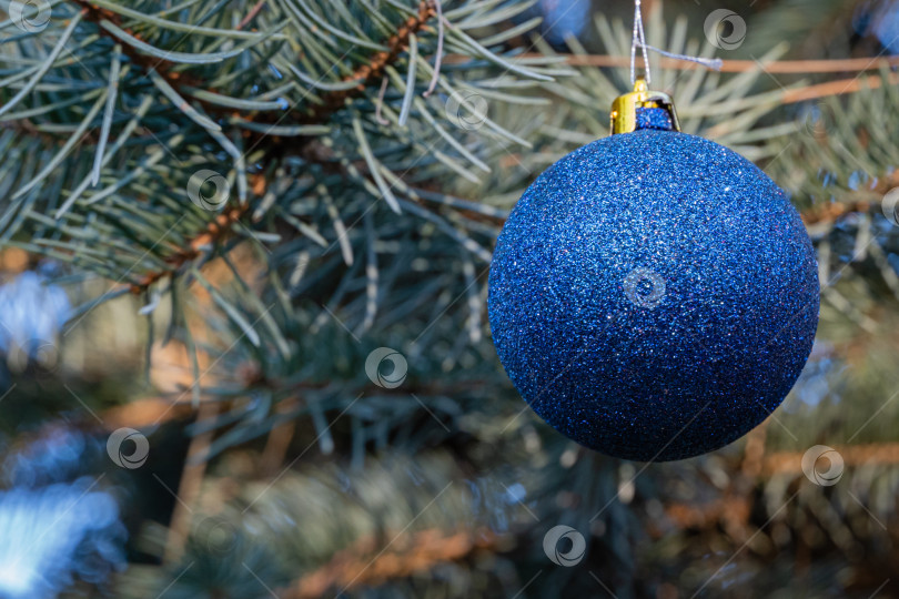 Скачать Рождественская игрушка, голубой шар на размытом фоне ветвей рождественской елки. Крупный план. Настоящая зима в саду. Выборочный фокус. Есть место для вашего текста фотосток Ozero