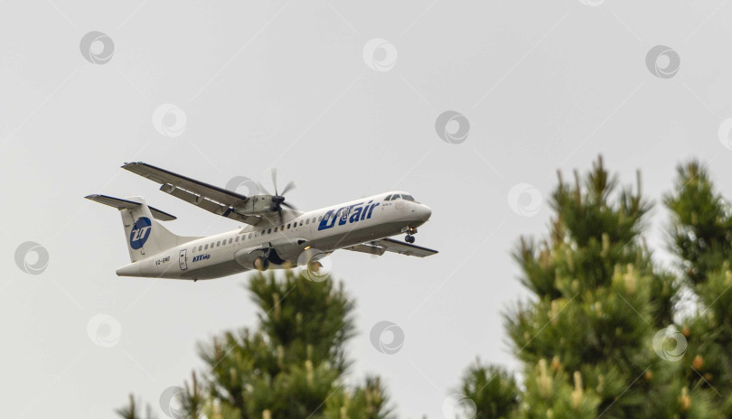 Скачать Самолет ATR-72 авиакомпании UTair в полете с выпущенными шасси. Самолет летит в сторону аэродрома Адлер для посадки. На переднем плане вечнозеленые деревья. Выборочный фокус, фотосток Ozero