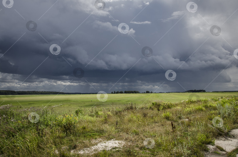 Скачать Грозовые тучи над полем летом. Россия. фотосток Ozero