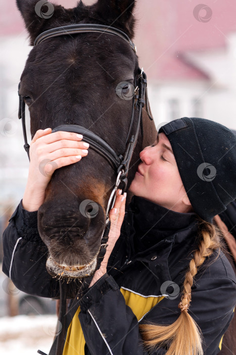 Скачать Интимный момент между человеком и лошадью на снегу. фотосток Ozero