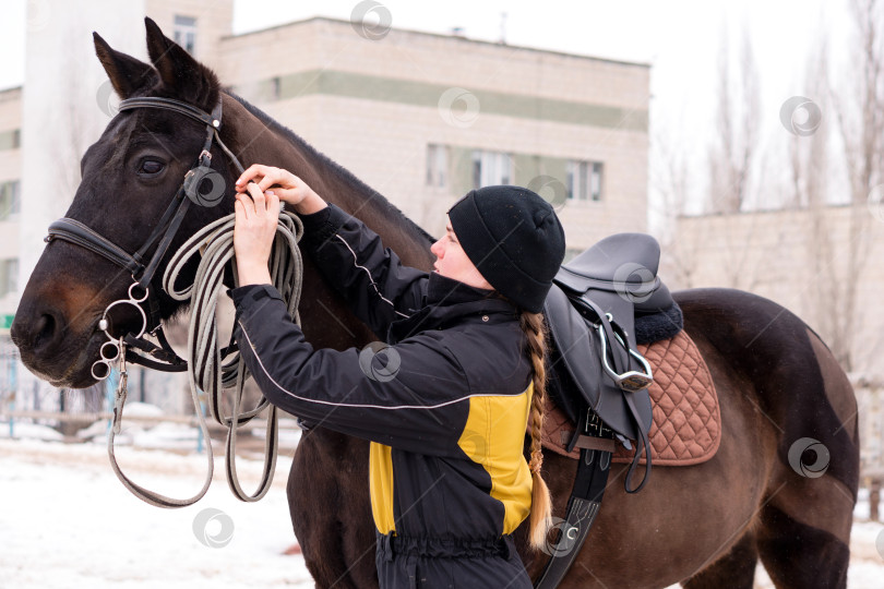 Скачать Человек, поправляющий поводья на оседланной лошади на открытом воздухе. фотосток Ozero
