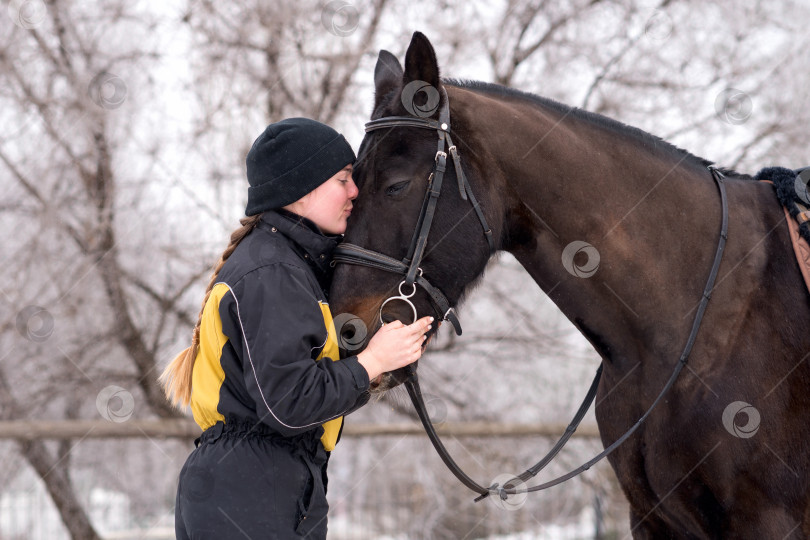 Скачать Человек, ласкающий и утешающий лошадь на открытом воздухе. фотосток Ozero