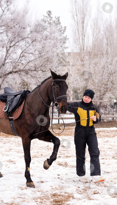 Скачать Человек, ведущий резвую лошадь по снегу. Выездка. фотосток Ozero