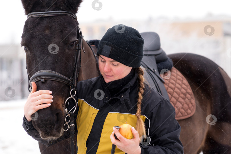Скачать Человек, ласкающий голову лошади с яблоком в руке. фотосток Ozero