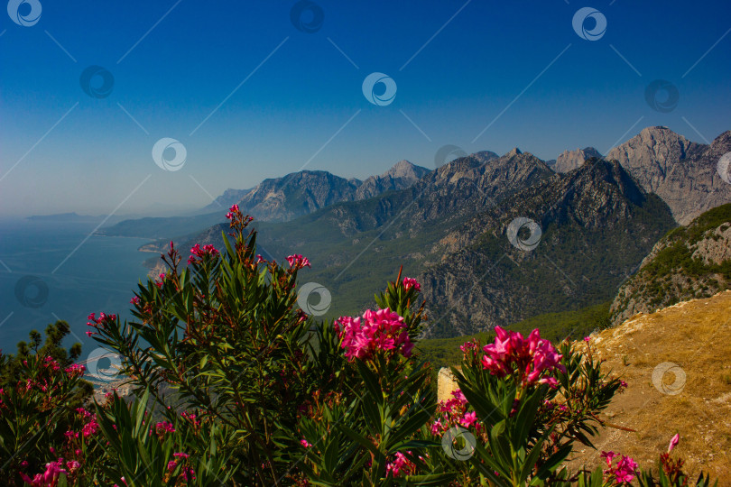 Скачать Красота гор фотосток Ozero