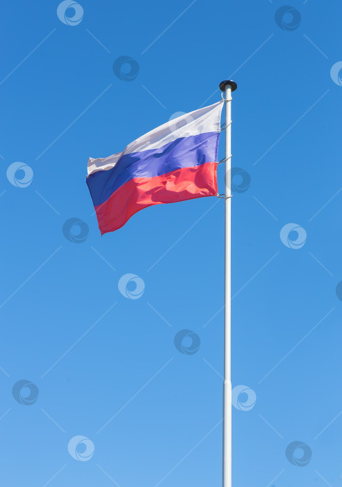 Скачать флаг России фотосток Ozero