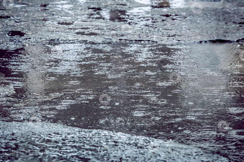 Скачать капли дождя падают в бассейн фотосток Ozero
