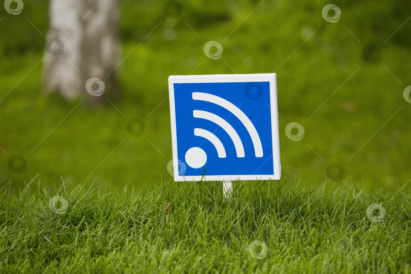 Скачать wi-fi на открытом воздухе в лесу фотосток Ozero