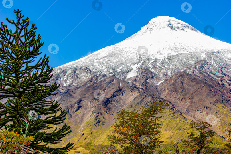 Скачать Снежная вершина вулкана фотосток Ozero