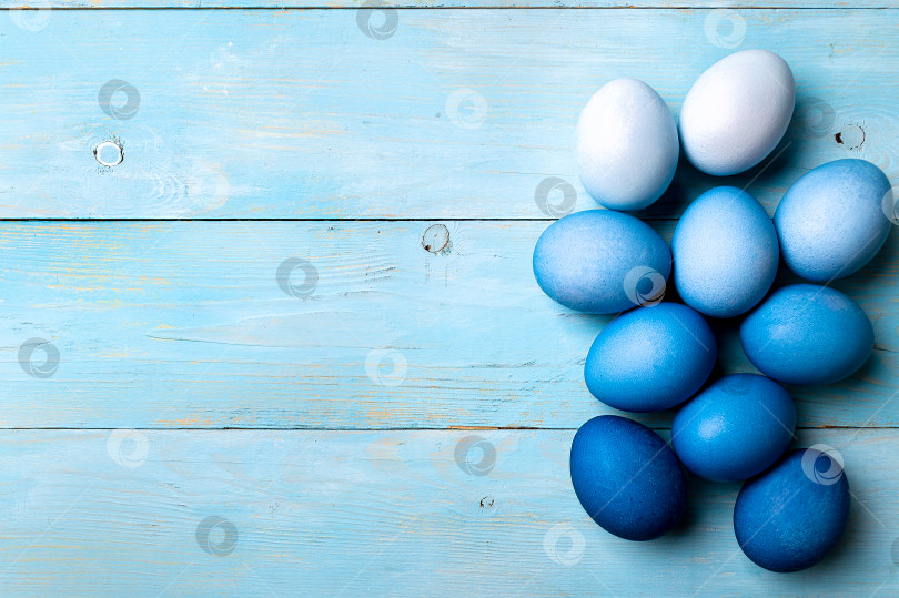 Скачать Синие яйца в стиле омбре как концепция Пасхи 2020, копировальное пространство фотосток Ozero