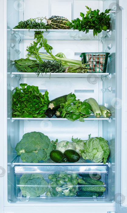 Скачать Зеленые овощи и зелень в открытом холодильнике фотосток Ozero