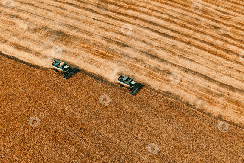 Скачать вид с высоты птичьего полета на два комбайна на уборочном поле фотосток Ozero