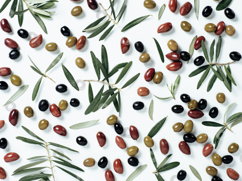Скачать узор с различными оливками и оливковыми ветвями фотосток Ozero