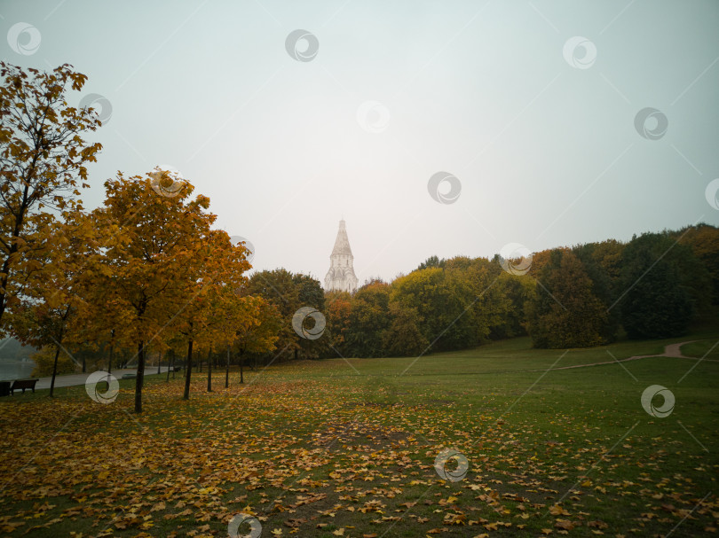 Скачать Осенний пейзаж фотосток Ozero