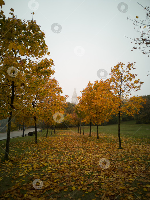 Скачать Осень в парке фотосток Ozero