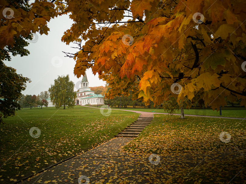 Скачать Осенняя дорога фотосток Ozero