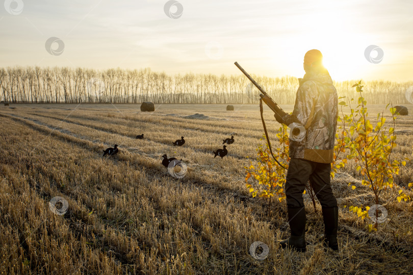 Скачать Охотник в камуфляже с ружьем охотится на птиц. фотосток Ozero